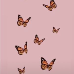 Meet your Posher, Chloe